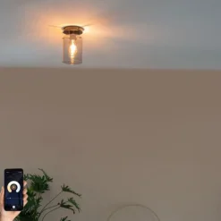 Smarte Deckenleuchte schwarz mit Rauchglas inkl. Wifi ST64 - Dome