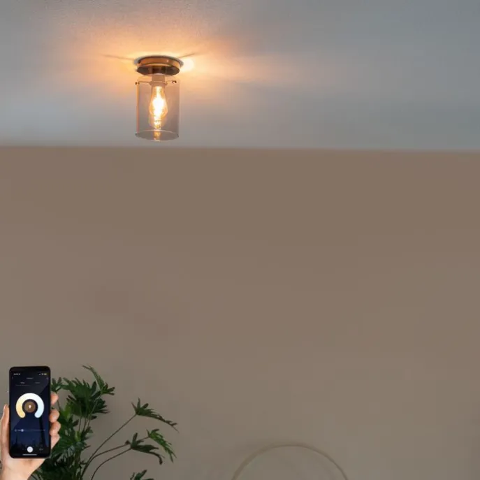 Smarte Deckenleuchte schwarz mit Rauchglas inkl. Wifi ST64 - Dome