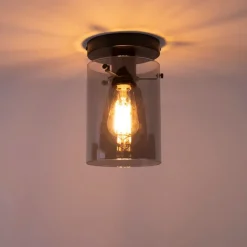 Smarte Deckenleuchte schwarz mit Rauchglas inkl. Wifi ST64 - Dome