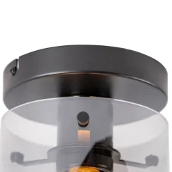 Smarte Deckenleuchte schwarz mit Rauchglas inkl. Wifi ST64 - Dome