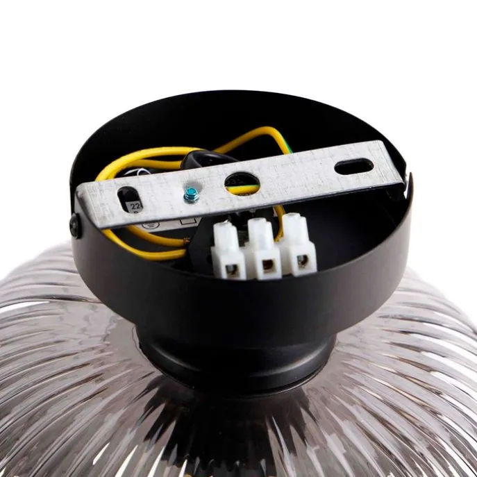 Smarte Deckenleuchte schwarz mit Rauchglas inkl. WLAN A60 - Karel