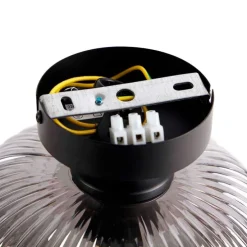 Smarte Deckenleuchte schwarz mit Rauchglas inkl. WLAN A60 - Karel