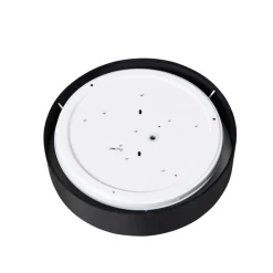 Smarte Deckenleuchte schwarz 30cm inkl. LED RGB mit Fernbedienung - Taiko