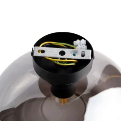 Smarte Deckenleuchte schwarz mit Rauchglas inkl. WLAN P45 - Busa