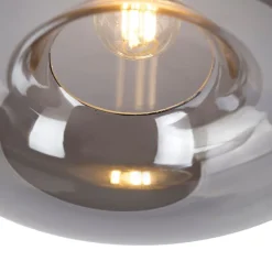 Smarte Deckenleuchte schwarz mit Rauchglas inkl. WLAN P45 - Busa