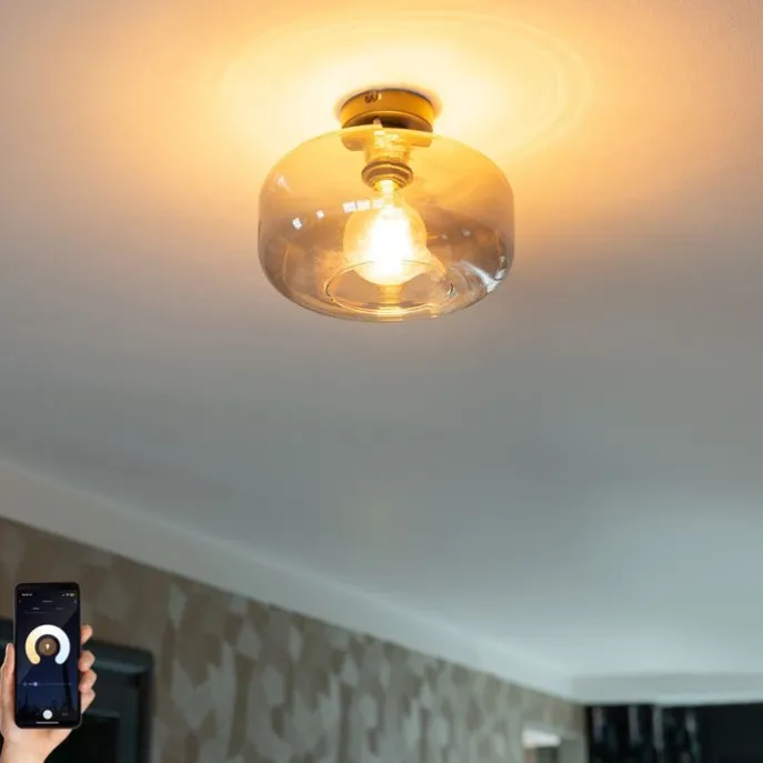Smarte Deckenleuchte schwarz mit Rauchglas inkl. WiFi A60 - Bizle