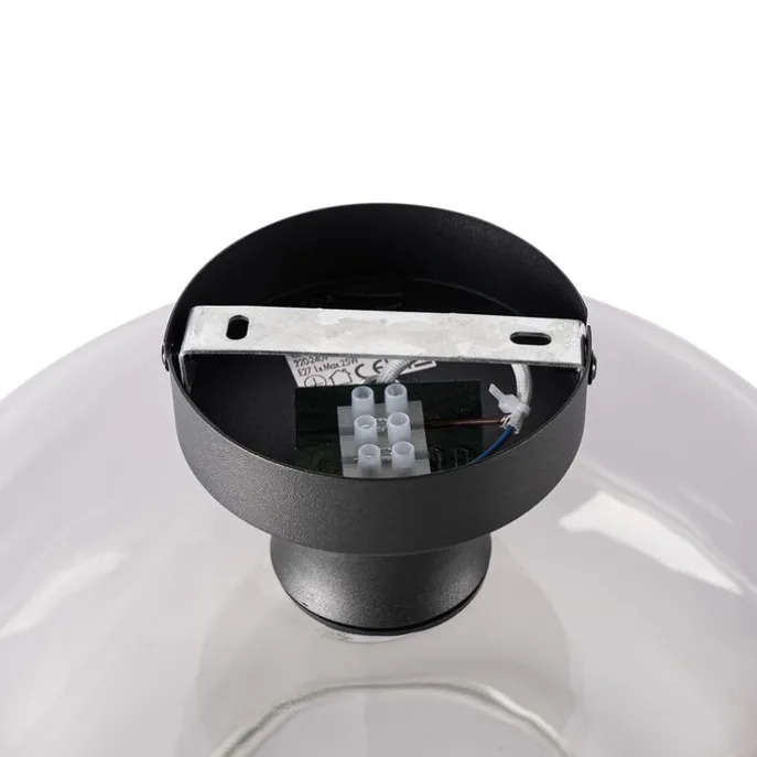 Smarte Deckenleuchte schwarz mit Rauchglas inkl. WiFi A60 - Bizle