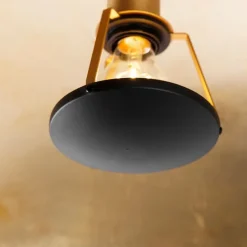 Smarte Deckenleuchte schwarz mit Gold 60 cm inkl. WLAN A60 - Emilienne