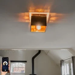 Smarte Deckenleuchte Schwarz mit Gold inkl. WiFi P45 - VT