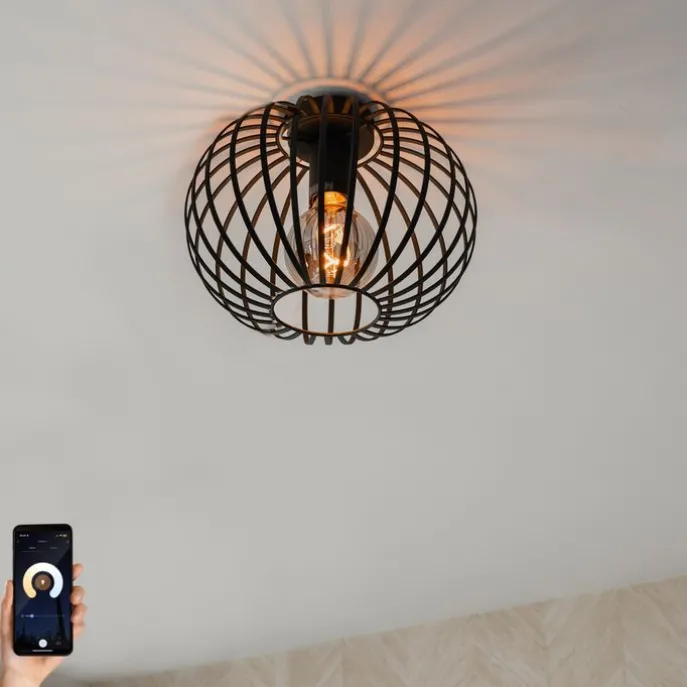 Smarte Deckenleuchte schwarz 30 cm inkl. Wifi G95 - Johanna