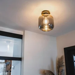 Smarte Deckenleuchte schwarz mit Gold und Rauchglas inkl. WLAN A60 - Zuzanna