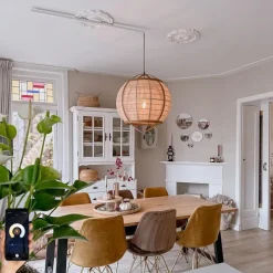 Smarte Pendelleuchte braun 50 cm inkl. Wifi G95 - Pascal