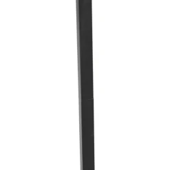 Smarte Stehleuchte schwarz mit Rauchglas inkl. WiFi ST64 - Qara Down