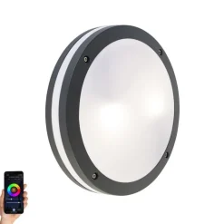 Smarte Wand- und Deckenleuchte Dunkelgrau inkl. WLAN A60 - Glow