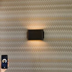 Smarte Wandleuchte Dunkelbronze 2-flammig inkl. 2 Wifi G9 - Coen
