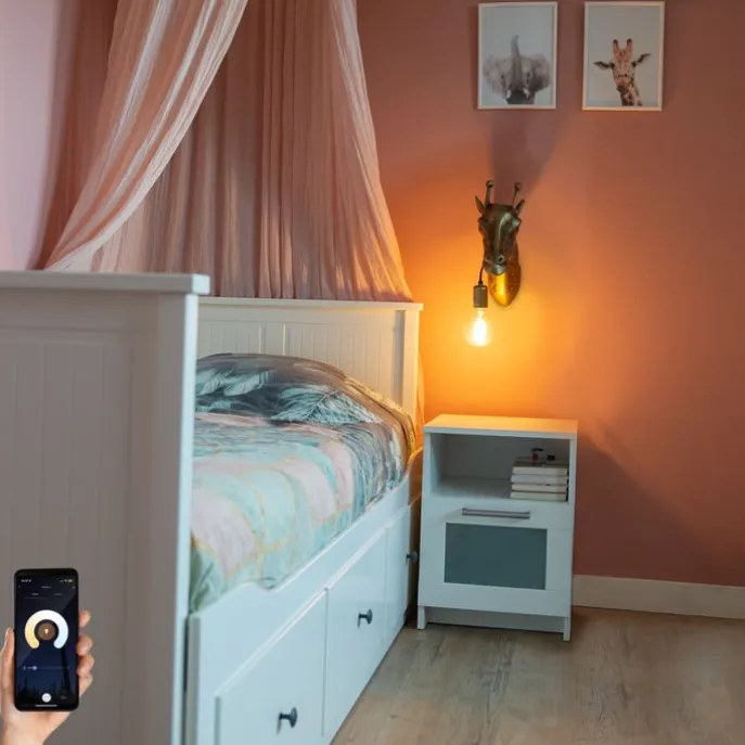 Smarte Wandleuchte Messing inkl. Wifi G95 - Tier Giraffe