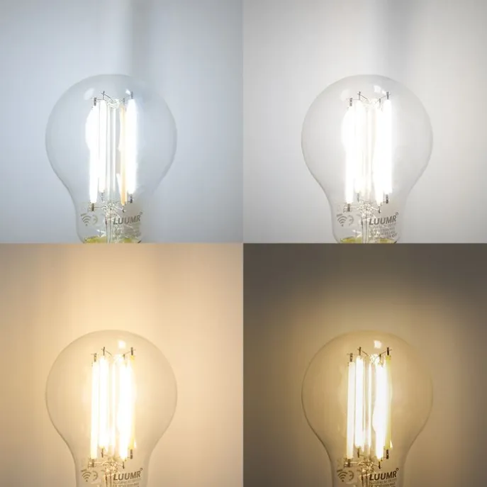 Smarte Wandleuchte schwarz mit Goldglas inkl. WiFi A60 - Bert