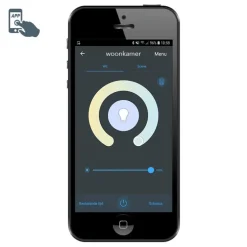 Smarter Außenlaternenmast Anthrazit 80 cm inkl. Wifi P45 - Rox