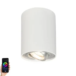 Smarter Aufbaustrahler weiß und Stahl neigbar inkl. Wifi GU10 - Rondoo up