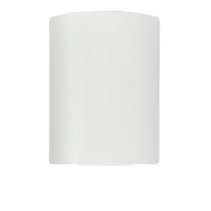 Smarter Aufbaustrahler weiß und Stahl neigbar inkl. Wifi GU10 - Rondoo up