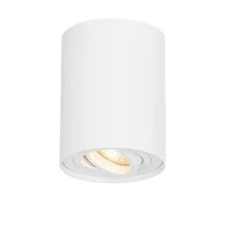 Smarter Deckenspot weiß verstellbar inkl. Wifi GU10 - Rondoo up