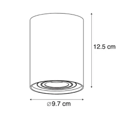 Smarter Deckenspot weiß verstellbar inkl. Wifi GU10 - Rondoo up
