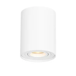 Smarter Deckenspot weiß verstellbar inkl. Wifi GU10 - Rondoo up