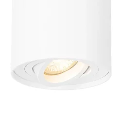 Smarter Deckenspot weiß verstellbar inkl. Wifi GU10 - Rondoo up