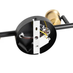 Smarter Deckenstrahler schwarz mit Gold und Rauchglas 4-Lichter inkl. 4 Wifi P45 - Zuzanna