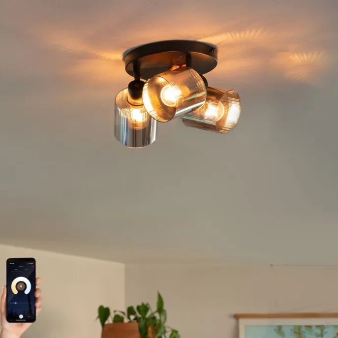 Smarter Deckenstrahler schwarz mit Rauchglas rund verstellbar inkl. 3 Wifi A60 - Laura