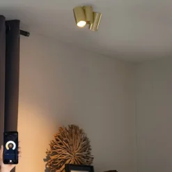 Smarter Strahler Messing 2-flammig Verstellbar Inkl. 2 Wifi GU10 50mm - Michael