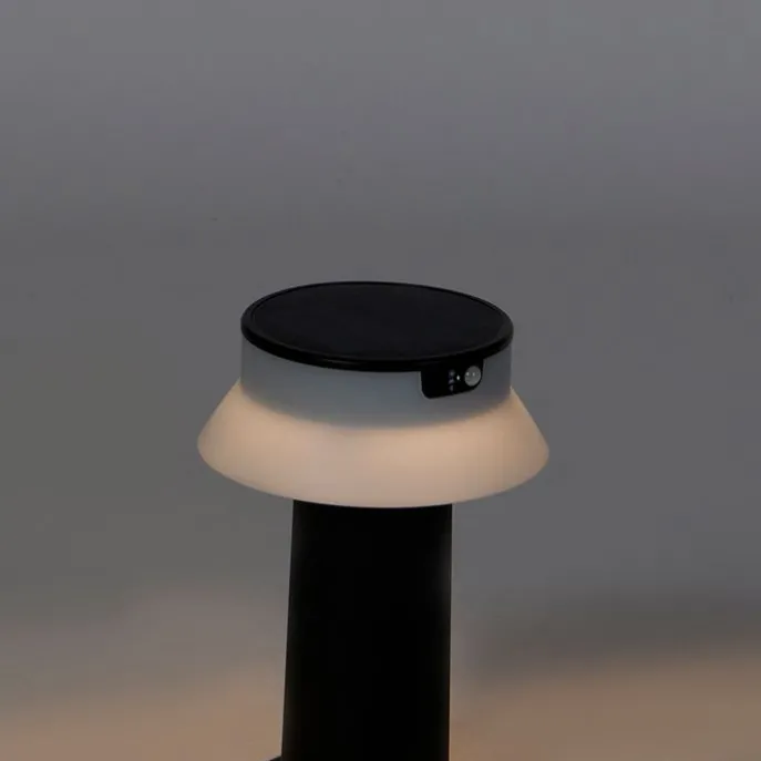 Stehende Außenleuchte schwarz inkl. LED und Dimmer IP55 Solar - Felice