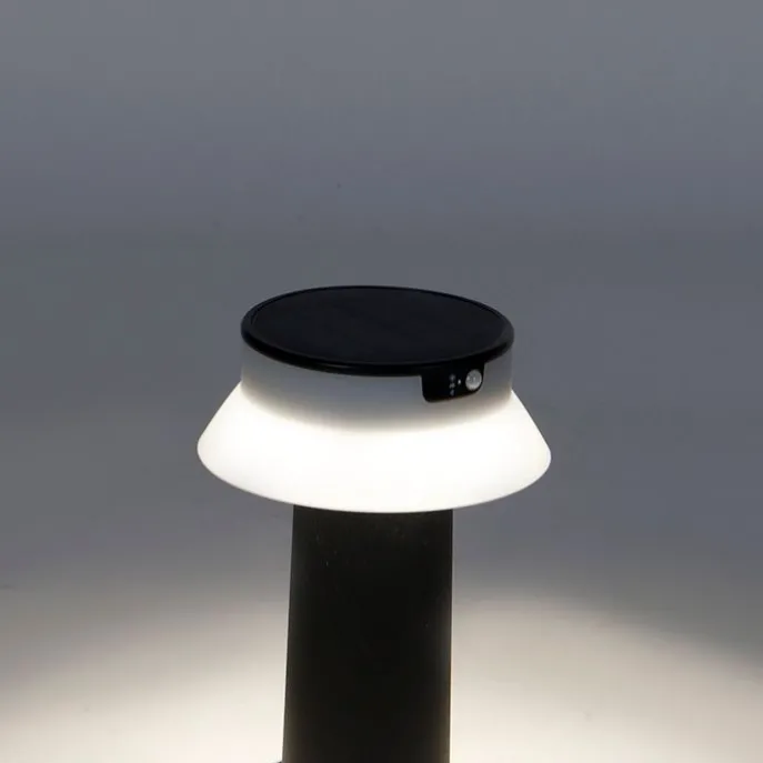 Stehende Außenleuchte schwarz inkl. LED und Dimmer IP55 Solar - Felice