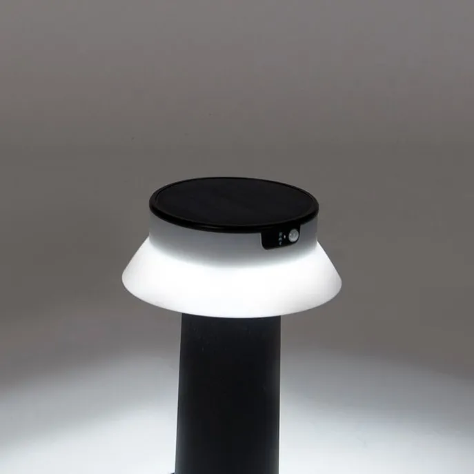 Stehende Außenleuchte schwarz inkl. LED und Dimmer IP55 Solar - Felice