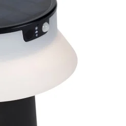 Stehende Außenleuchte schwarz inkl. LED und Dimmer IP55 Solar - Felice