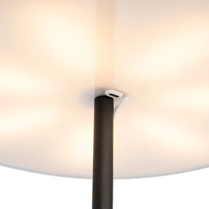 Stehleuchte für den Außenbereich Pilz Schwarz Wiederaufladbar 3-stufig dimmbar - Keira