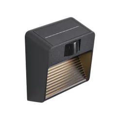 Wandleuchte schwarz inkl. LED IP54 mit Bewegungssensor Solar - Border