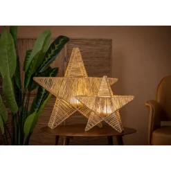 Weihnachts-Stehleuchte Braun 60cm inkl. LED IP54 Akku - Sisine